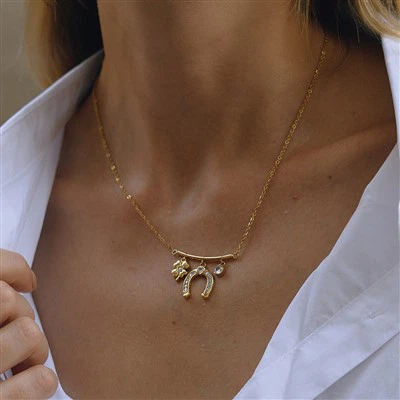Horseshoe Charm Necklace